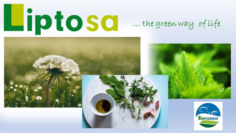 Liptosa