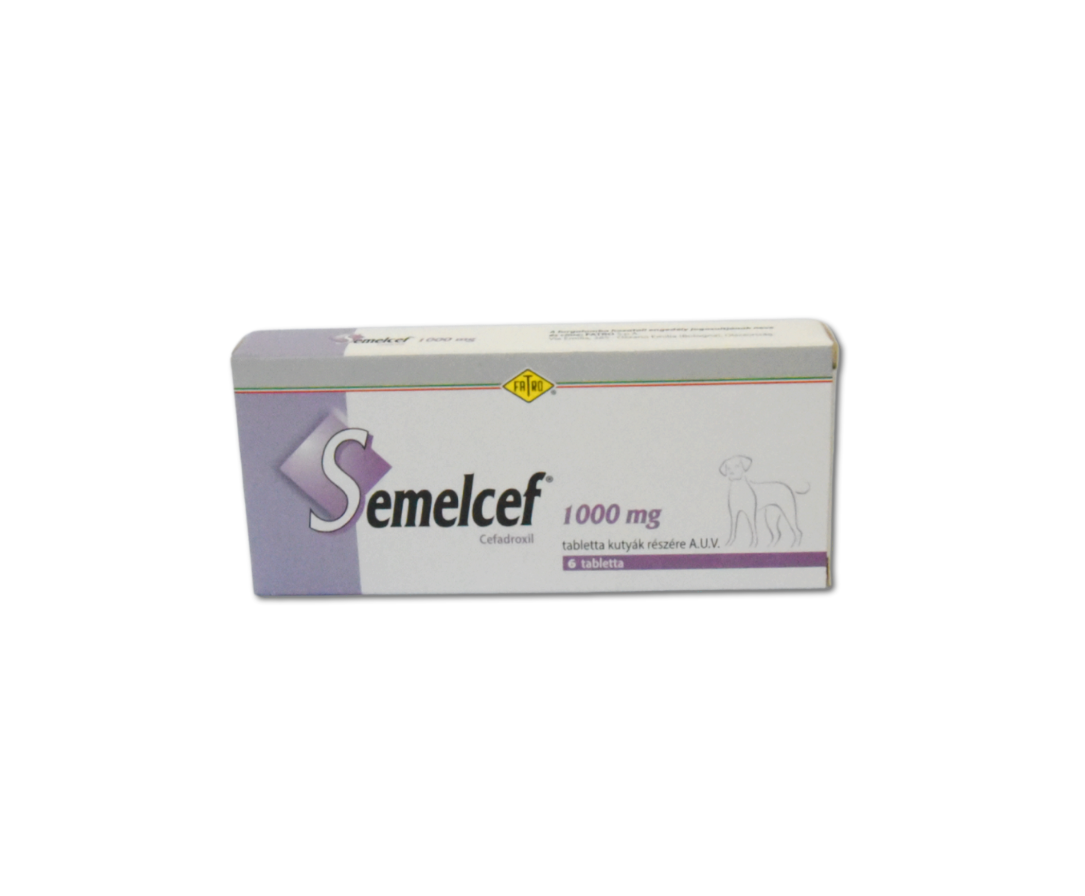 SEMELCEF 1000 mg tabletta kutyák részére A.U.V.