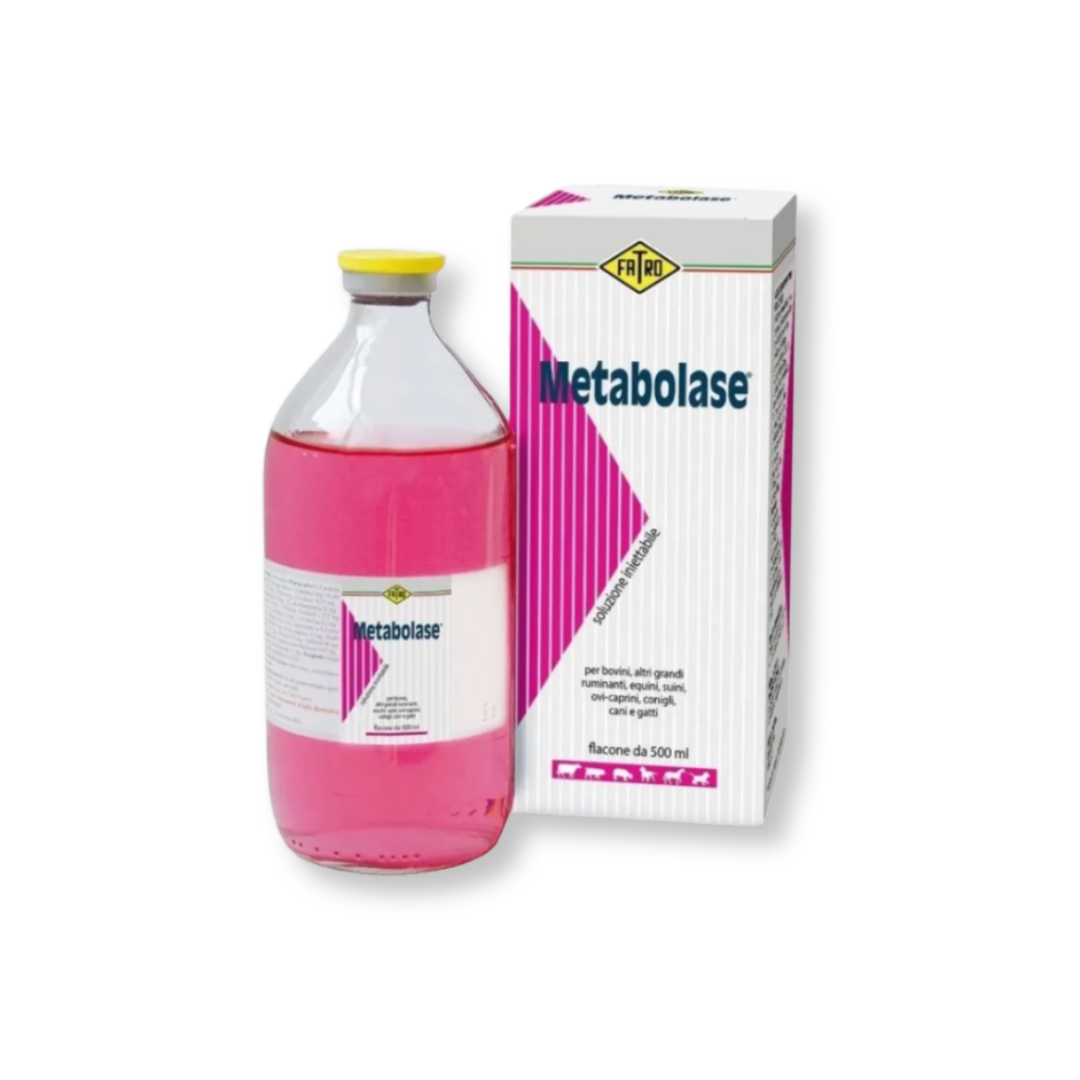 Metabolase oldatos injekció szarvasmarha, bivaly, ló, sertés, juh, kecske, nyulak, kutya és macska részére